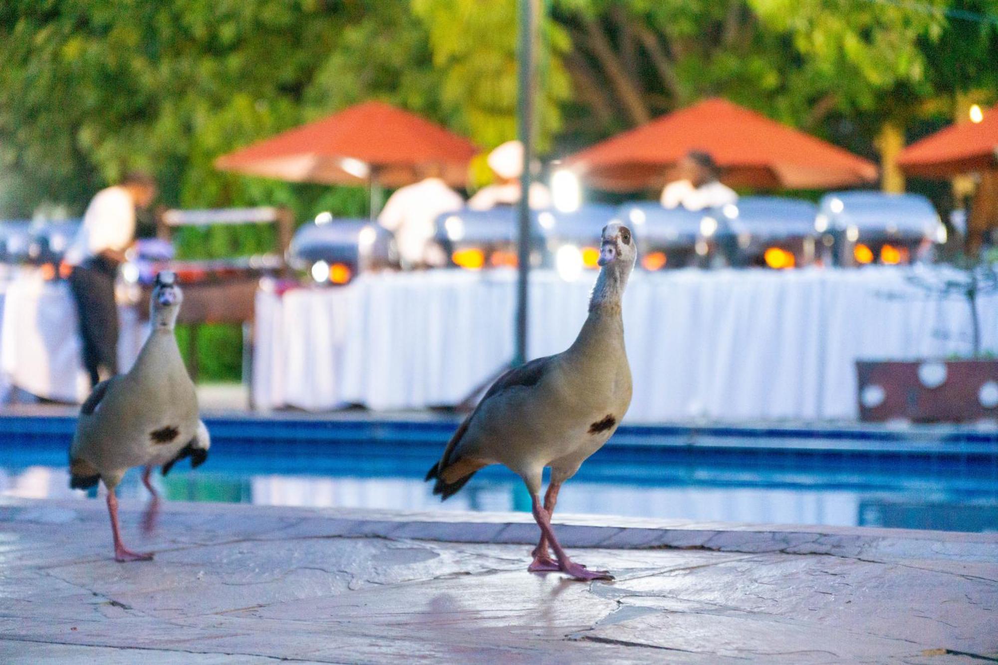 Lukenya Getaway Hotel Athi River Exterior foto