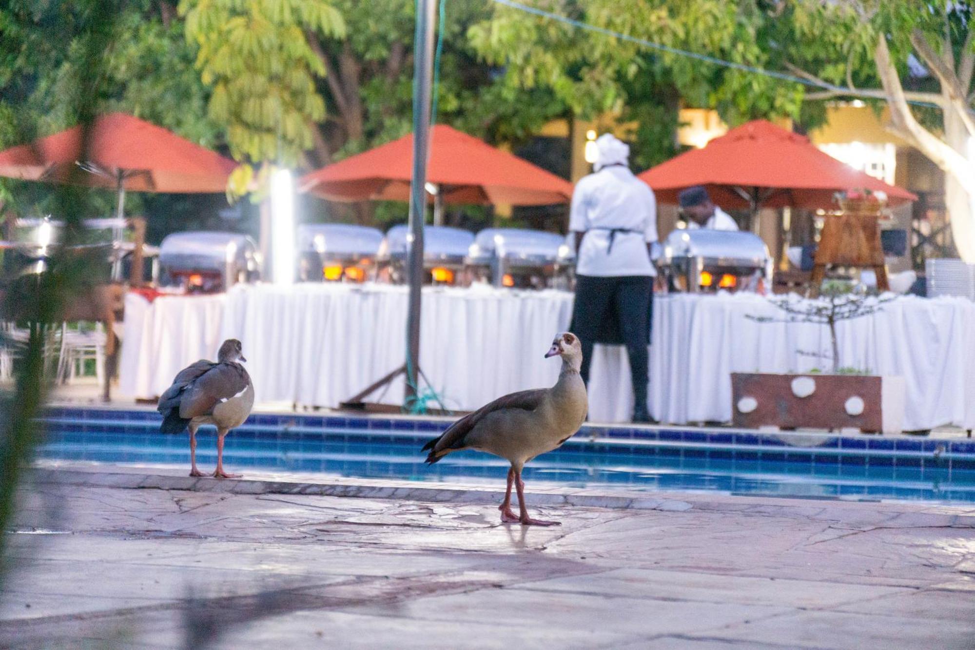 Lukenya Getaway Hotel Athi River Exterior foto